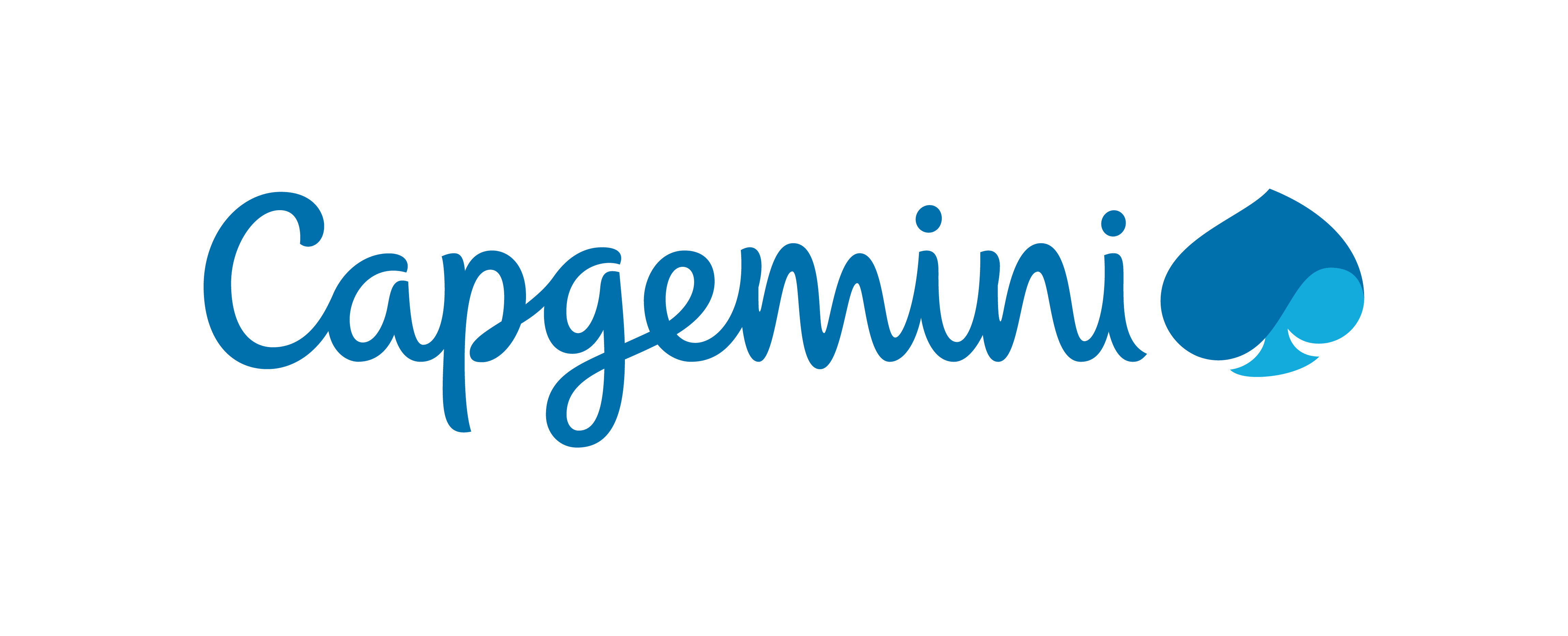Capgemini Australia - Public Sector Network